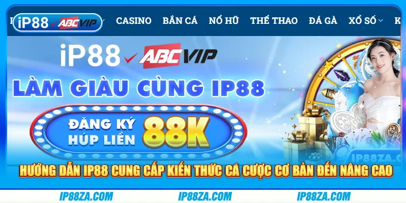 Hướng dẫn IP88 cung cấp kiến thức cá cược cơ bản đến nâng cao