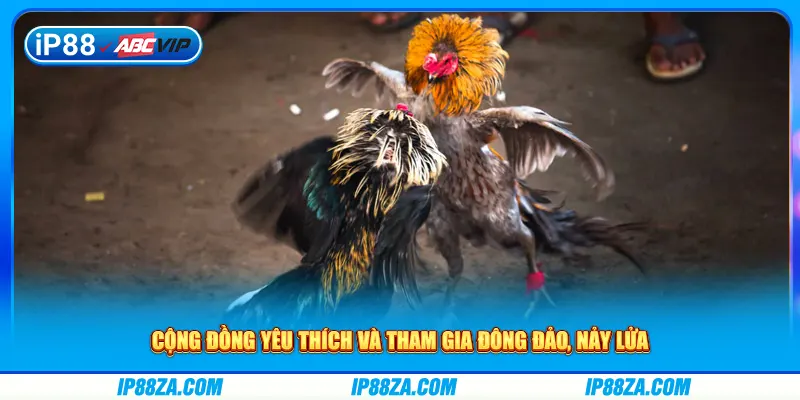 Cộng đồng yêu thích và tham gia đông đảo, nảy lửa