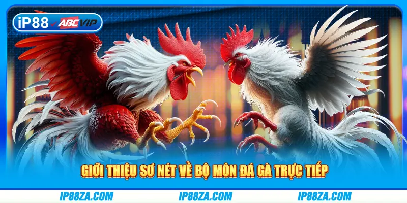 Giới thiệu sơ nét về bộ môn đá gà trực tiếp