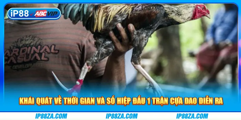 Khái quát về thời gian và số hiệp đấu 1 trận cựa dao diễn ra
