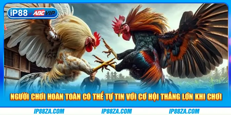 Người chơi hoàn toàn có thể tự tin với cơ hội thắng lớn khi chơi