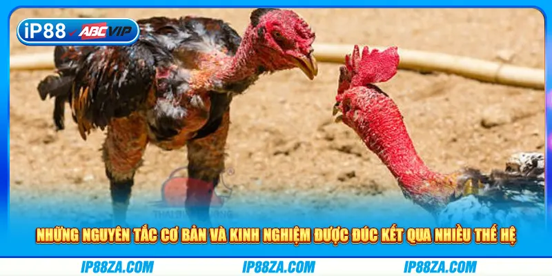 Những nguyên tắc cơ bản và kinh nghiệm được đúc kết qua nhiều thế hệ